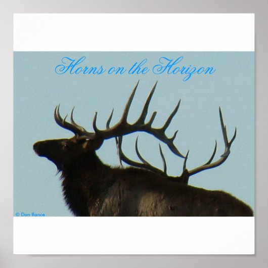 E11 Bull Elk Silhouette Head Shot Poster (Vorne)