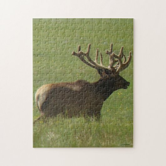 E12 Bull Elk 1 Bull oder 2 ? Puzzle (Vertikal)