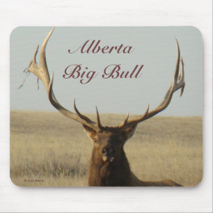 E13 Bull-Elch Gras in Hörnern Mousepad