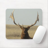 E13 Bullgras in Hörnern Kopfschuss Mousepad (Mit Mouse)