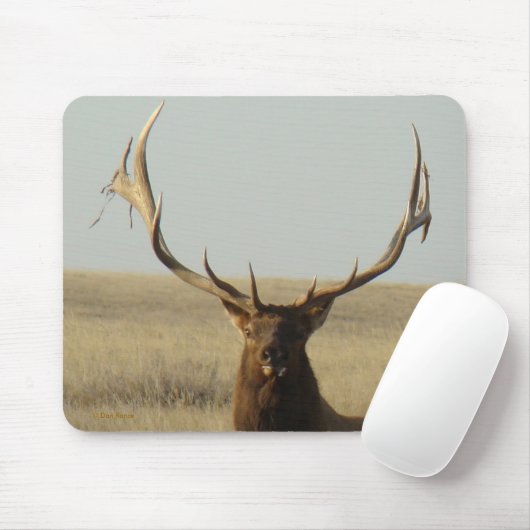 E13 Bullgras in Hörnern Kopfschuss Mousepad (Mit Mouse)