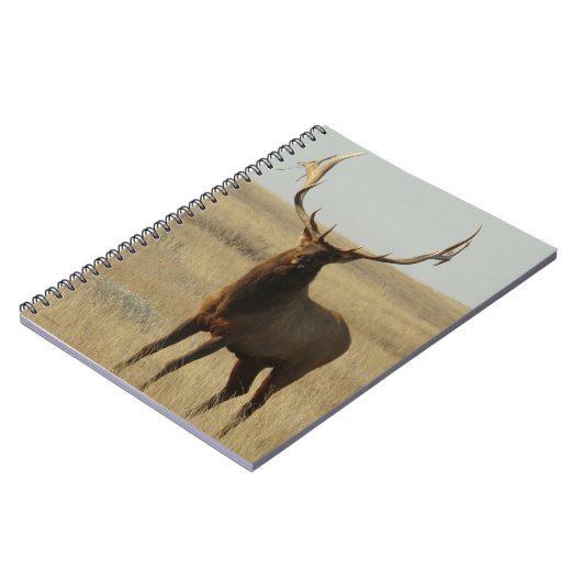 E13 Bullgras in Hörnern Notizblock (Linke Seite)