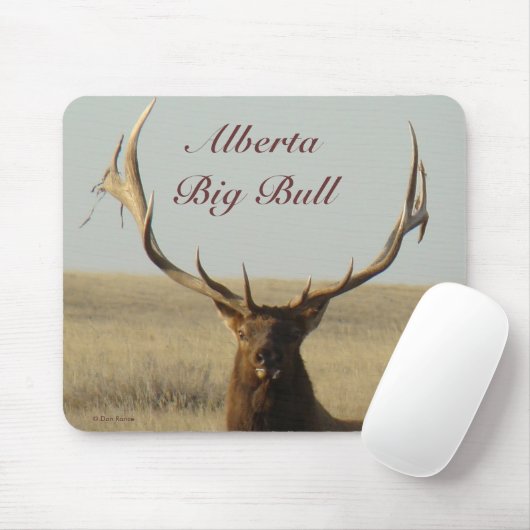 E13 Stier Elch-Gras in den Hörnern Mousepad (Mit Mouse)
