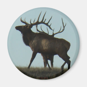 E14 Bull-Elch-Silhouette Hörner am Horizont Magnet