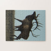 E14 Bull Elk Silhouette Puzzle (Horizontal)