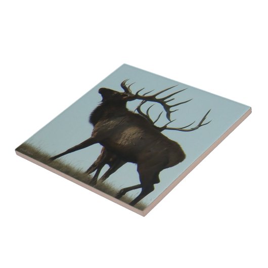 E14 Silhouette am Horizont Fliese (Seite)