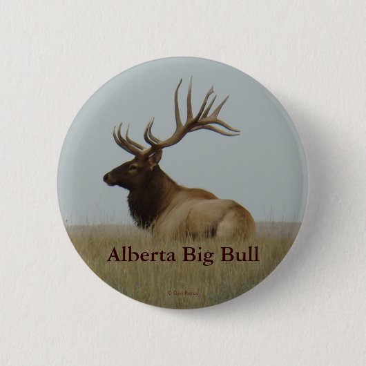 E15 Bull Elk Big Bull Lay Button (Vorderseite)