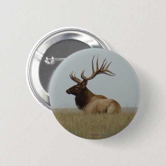 E15 Bull Elk Big Bull Lay Button (Vorne & Hinten)