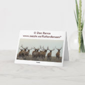 E15a Bull Elk Herd Master Karte (Rückseite)