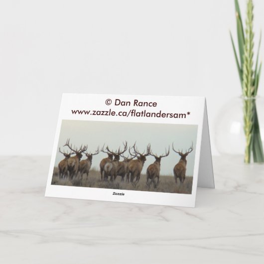 E15a Bull Elk Herd Master Karte (Rückseite)