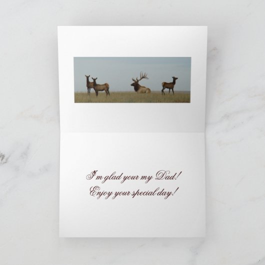 E15a Bull Elk Herd Master Karte (Innenseite)