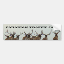 E17 Bull Elk Running Autoaufkleber