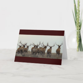 E17 Bull Elk Running Karte