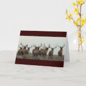 E17 Bull Elk Running Karte (Gelbe Blume)