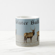 E18 Bull Elk Winter Bulls
