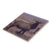 E19 Bull Elk Double Drop Tines Fliese (Seite)