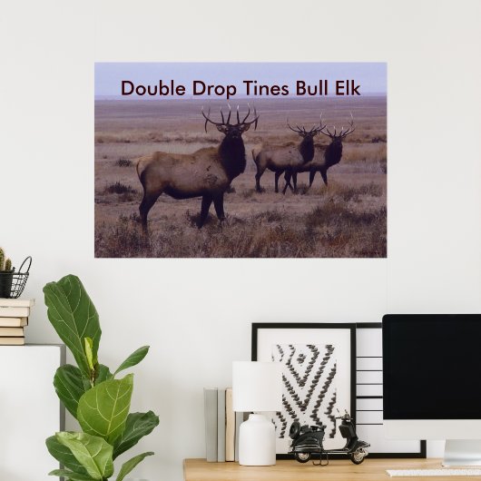 E19 Bull Elk Double Drop Tines Poster (Heimbüro)