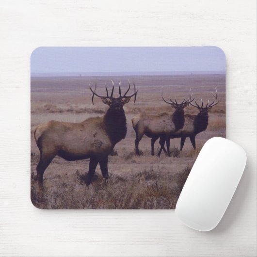 E19 Stier Elch-Doppelt-Tropfen-Zinken Mousepad (Mit Mouse)