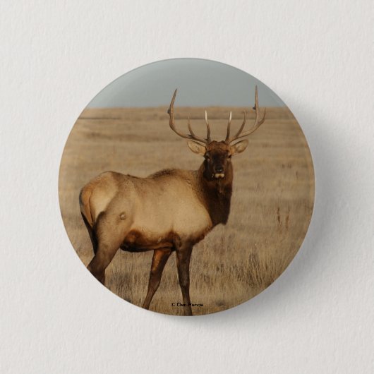 E1 Bull Elk Button (Vorderseite)