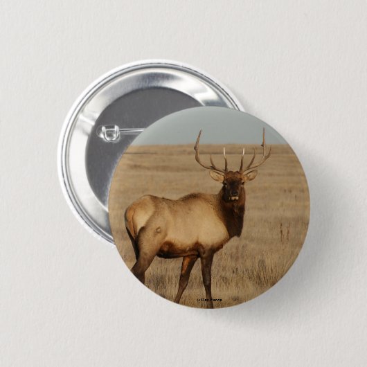 E1 Bull Elk Button (Vorne & Hinten)