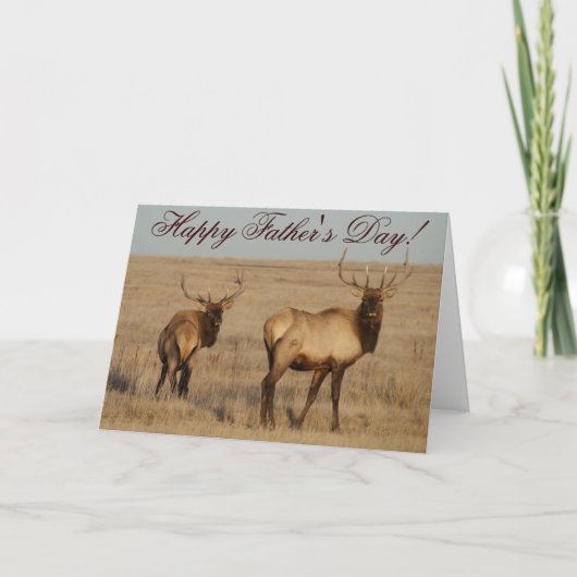 E1 Bull Elk Karte (Vorderseite)