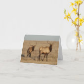 E1 Bull Elk Karte (Gelbe Blume)