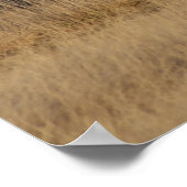 E1 Bull Elk Open Country Bulls Poster (Ecke)