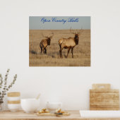 E1 Bull Elk Open Country Bulls Poster (Küche)