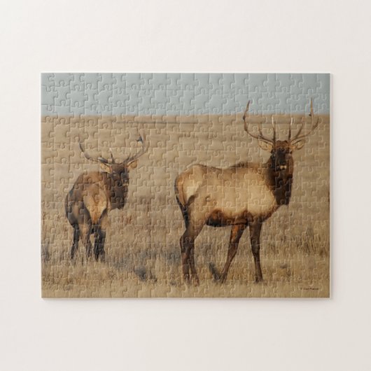E1 Bull Elk Puzzle (Horizontal)