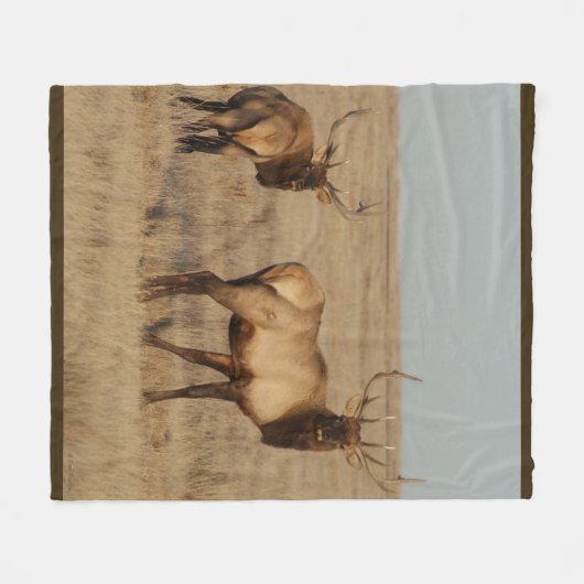 E1 Stier Elche Fleecedecke (Vorderseite (Horizontal))