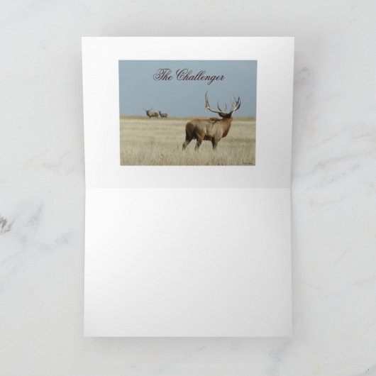 E20 Bull Elk Challenger Karte (Innenseite)