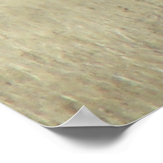 E20 Bull Elk Challenger Poster (Ecke)