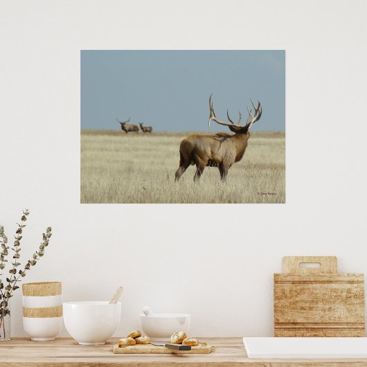 E20 Bull Elk Challenger Poster (Küche)