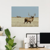 E20 Bull Elk Challenger Poster (Heimbüro)