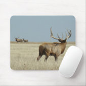 E20 Stier Elch-Herausforderer Mousepad (Mit Mouse)