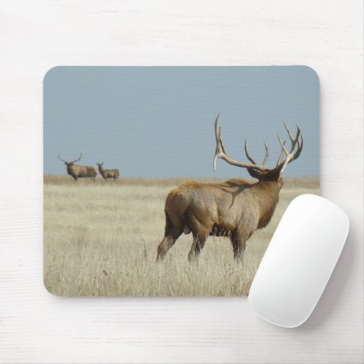E20 Stier Elch-Herausforderer Mousepad (Mit Mouse)
