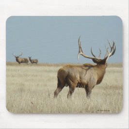 E20 Stier Elch-Herausforderer Mousepad