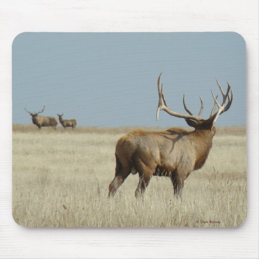 E20 Stier Elch-Herausforderer Mousepad (Vorne)