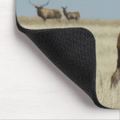 E20 Stier Elch-Herausforderer Mousepad (Ecke)