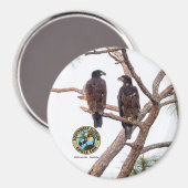 E21 & E22 Beste Buds Saison 11 Magnet (Vorderseite/Rückseite)