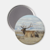 E22 Bull-Elch und schneebedeckte Hügel Magnet (Vorderseite/Rückseite)