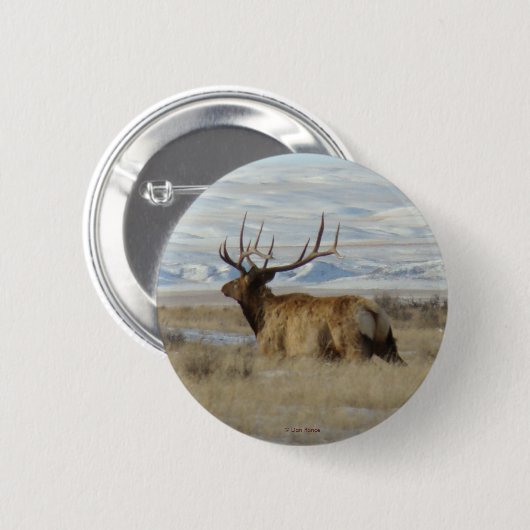 E22 Bull Elk and Snowy Hills Button (Vorne & Hinten)
