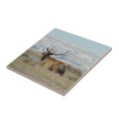 E22 Bull Elk and Snowy Hills Fliese (Seite)