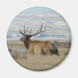 E22 Bull Elk and Snowy Hills Magnet