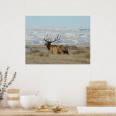 E22 Bull Elk Snowy Hills Poster (Küche)