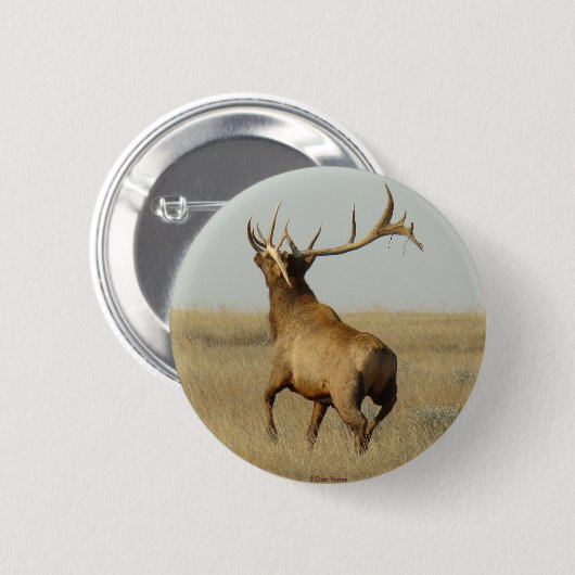 E23 Bullgras in Hörnern Button (Vorne & Hinten)