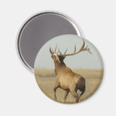 E23 Bullgras in Hörnern Magnet (Vorderseite/Rückseite)