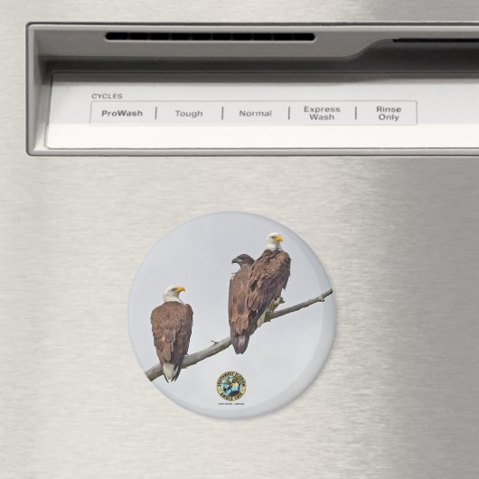 E23 & Family- M15, F23 & First Eaglet Magnet (In Situ (Geschirrspüler))