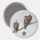 E23 & Family- M15, F23 & First Eaglet Magnet (Vorderseite/Rückseite)