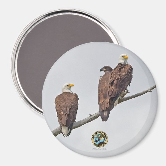 E23 & Family- M15, F23 & First Eaglet Magnet (Vorderseite/Rückseite)